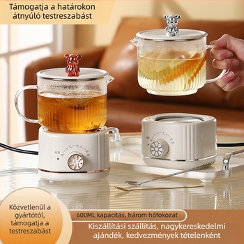 Health Pot boroszilikát üvegből készített testtel, kapacitás legfeljebb 1 L, 220 V, 300–350 W, mechanikus vezérlés