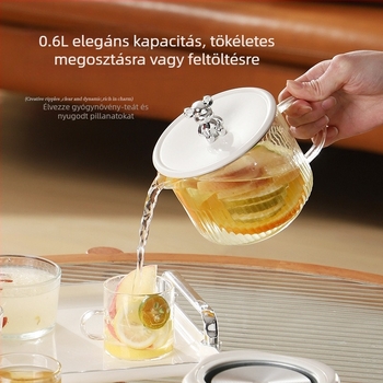 Health Pot boroszilikát üvegből készített testtel, kapacitás legfeljebb 1 L, 220 V, 300–350 W, mechanikus vezérlés
