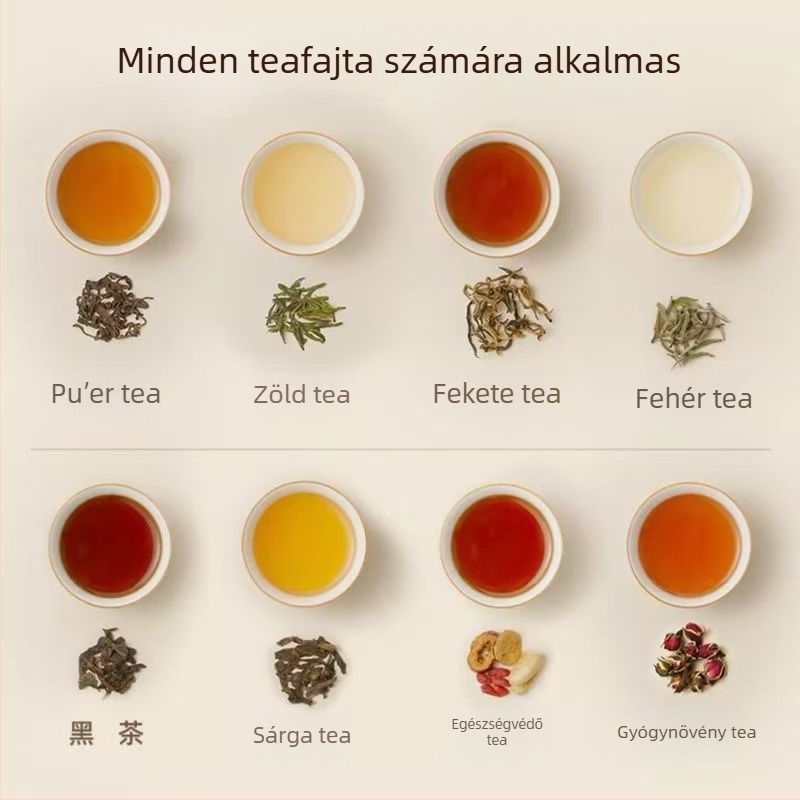 Levehető egészség teáskanna üvegtesttel, 1,5 L, 220 V, 500 W, mikroprocesszoros vezérlés és növényi decoct funkció
