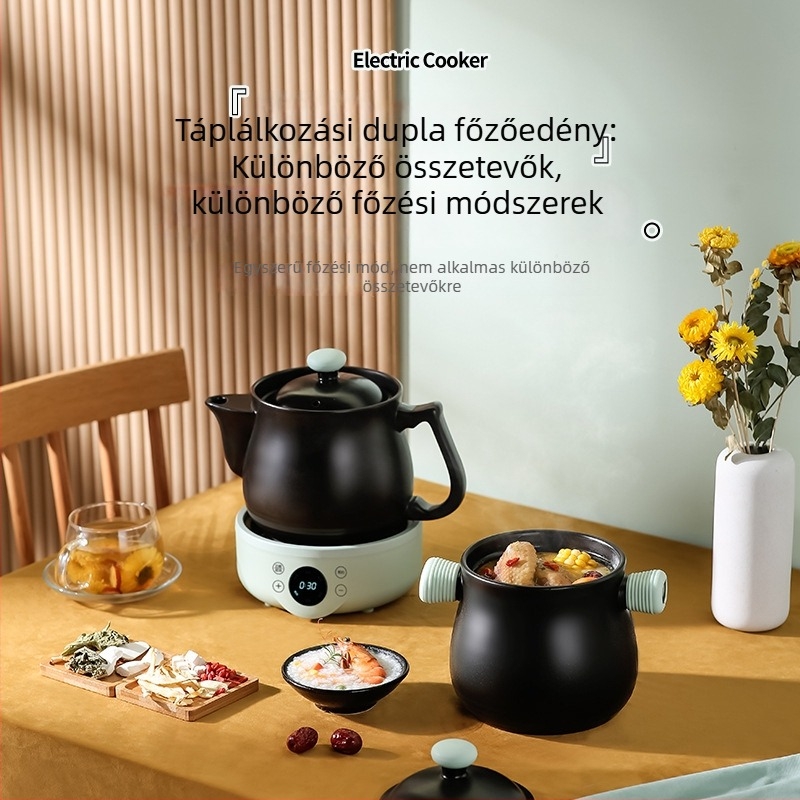 GXDG-20 Elektromos decoction főzőedény kínai gyógyászat számára, purpuraszand testtel és kerámia belsővel, 800W, 220V