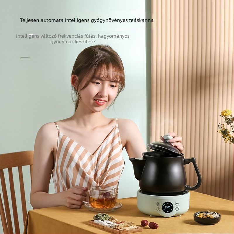 GXDG-20 Elektromos decoction főzőedény kínai gyógyászat számára, purpuraszand testtel és kerámia belsővel, 800W, 220V