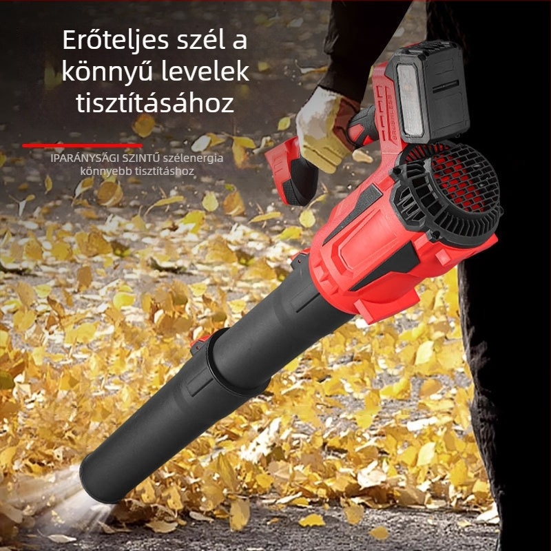 Nagy teljesítményű brushless lítium akkumulátoros kültéri háztartási fújó, hó- és levélfújás, 220V, újratölthető