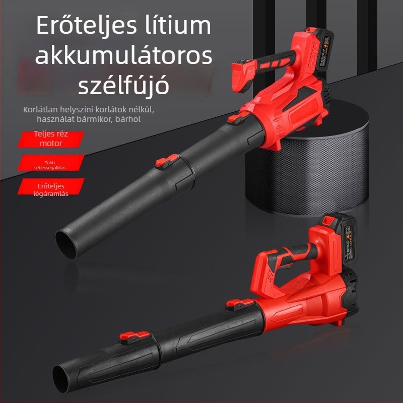 Nagy teljesítményű brushless lítium akkumulátoros kültéri háztartási fújó, hó- és levélfújás, 220V, újratölthető