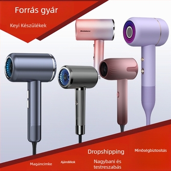 LD-1201 hajszárító, 1200W kefemotor, forró levegő, 3 fokozat, 220V