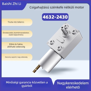 4632-2430 Brushless motor turbinal csavarmenetes hajtású, mikro DC redukciós motor, nagy nyomaték, önzáró motor, jel