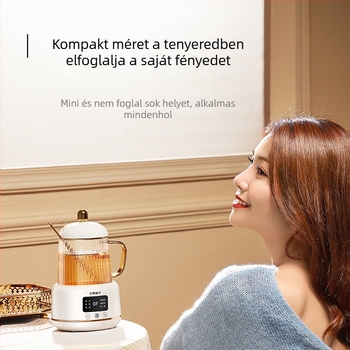 Egészség-kanna digitális termosztáttal, 0,4 L, 220V, 400–500W, boroszilikát üveg test, mikroprocesszoros vezérlés, modell I156