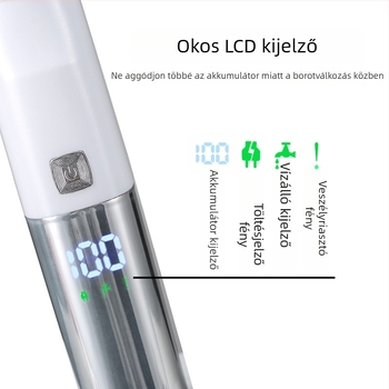 Női USB-töltéses elektromos borotva és trimming készlet, teljes testre mosható, rozsdamentes acél vágófej, kefés motor, FR-998 modell, 320 g, nedves és száraz használatra