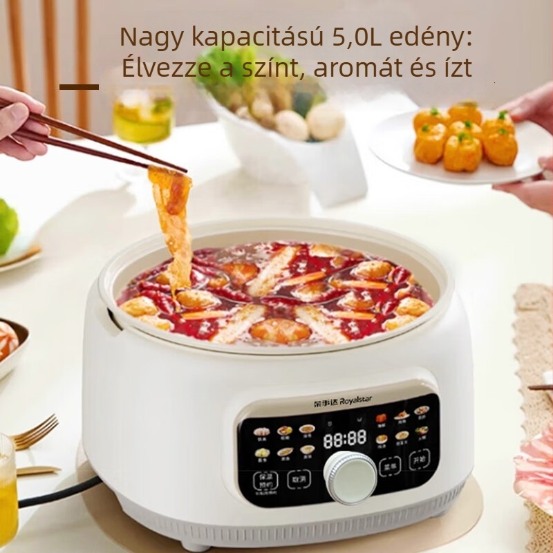 Kétrétegű elektromos gőzölő, 5 L kapacitás, titán-kerámiakristály belső edény, 2000 W teljesítmény, gombos vezérlés.