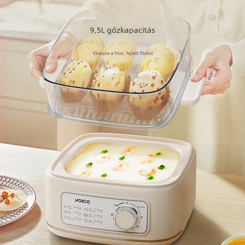Elektromos pároló Y-DZ02, három szintű kialakítás, 8-10 L kapacitás, 1000W, 220V
