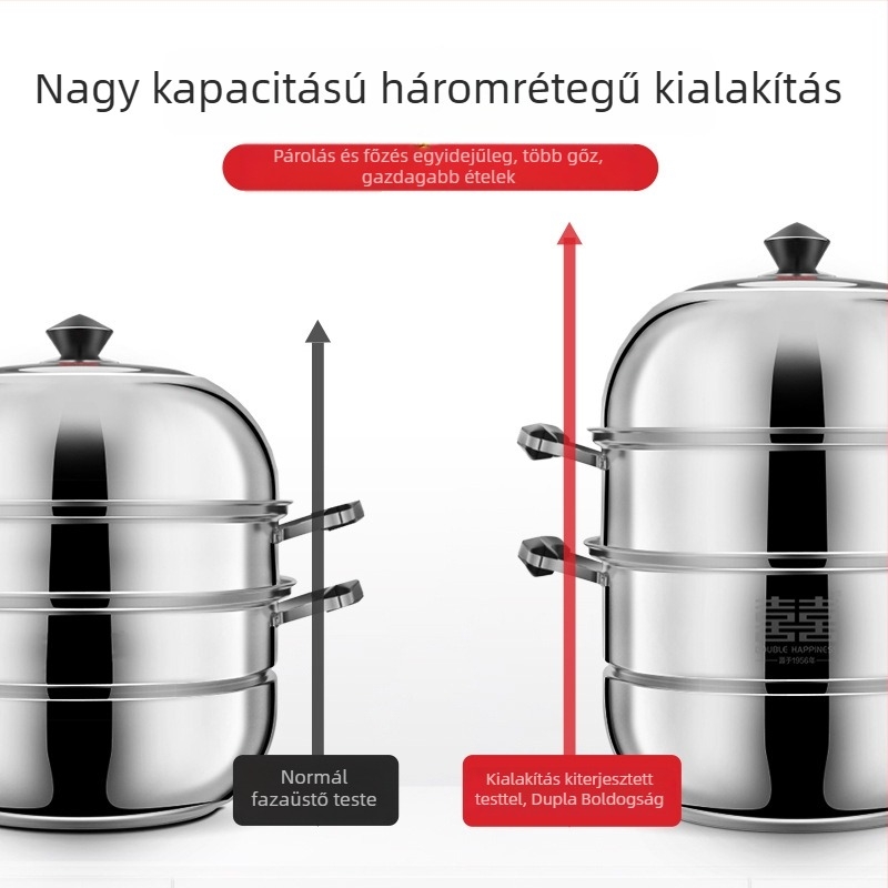 3 rétegű gőzölő edény 304 rozsdamentes acélból, indukciós tűzhely-kompatibilis, kettős aljzattal, rizs és hal párolására