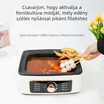 Elektromos gőzölő és forró edény egyben, háromrétegű rozsdamentes acél, 22 L kapacitás, 1500 W, 220 V