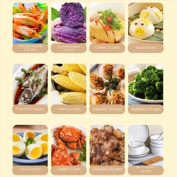 Elektromos gőzölő ZG-02, 12 L kapacitás, 3-rétegű kialakítás, 100-240 V, 900 W