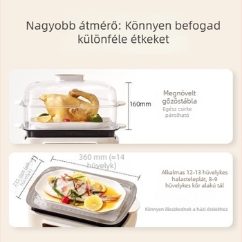 Elektromos gőzölő titan ötvözet belső tartállyal, levehető и mosható, 10 L feletti kapacitás, több mint 3 réteg gőzölő rendszer, 4 perc alatt felmelegszik