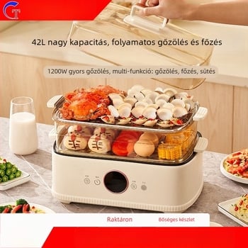 Háztartási elektromos gőzölő háromrétegű, mechanikus vezérléssel, 220V, modell Hg-zg06