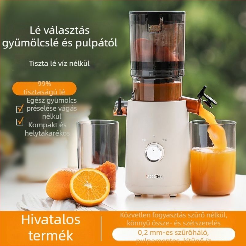 Gyümölcs- és zöldséglé készítő a pulpa szétválasztásával, nagy kaliberű, 18000 rpm, 150 W, belső tartály rozsdamentes acélból
