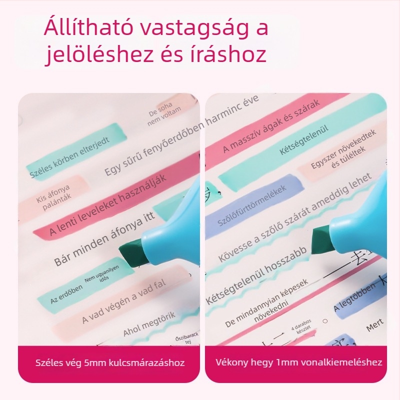 Deli SK205 diákoknak szánt kiemelő toll, műanyag test, dobozos csomagolás, egyfejű