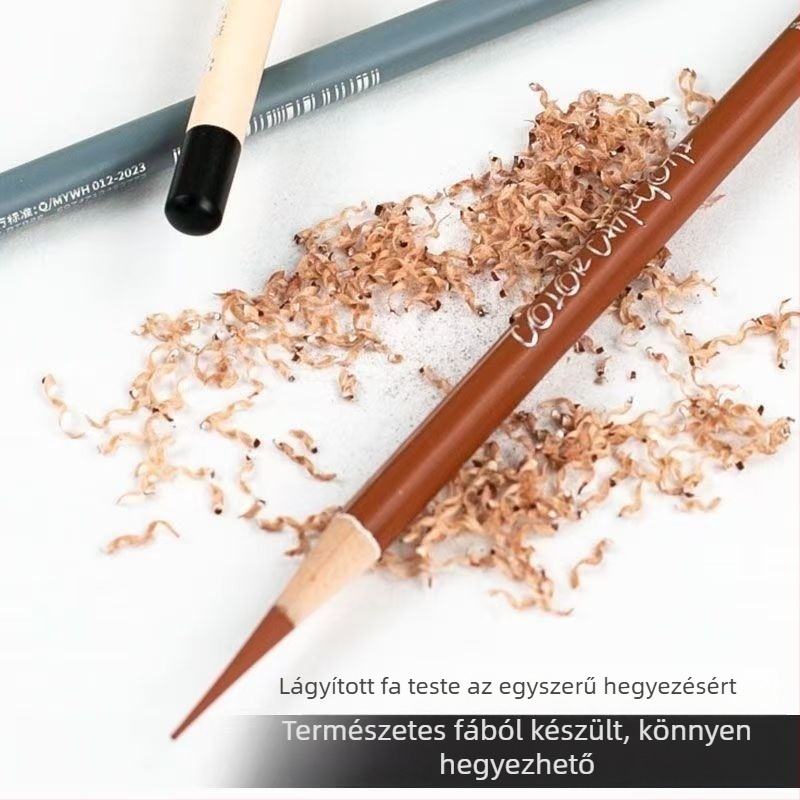 Mia Színes Szénrajz Ceruza – Művészeknek, Professzionális Kézi Rajz Szén és Fehér Highlight Ceruza