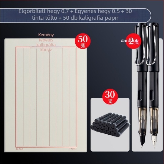 Kaligráfia toll 0.7/0.5 tollhegyekkel, cserélhető tintatartály, forgó tinta felszívás, műanyag test, modell gb0049