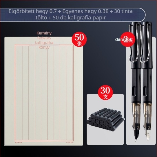 Kaligráfia toll 0.7/0.5 tollhegyekkel, cserélhető tintatartály, forgó tinta felszívás, műanyag test, modell gb0049