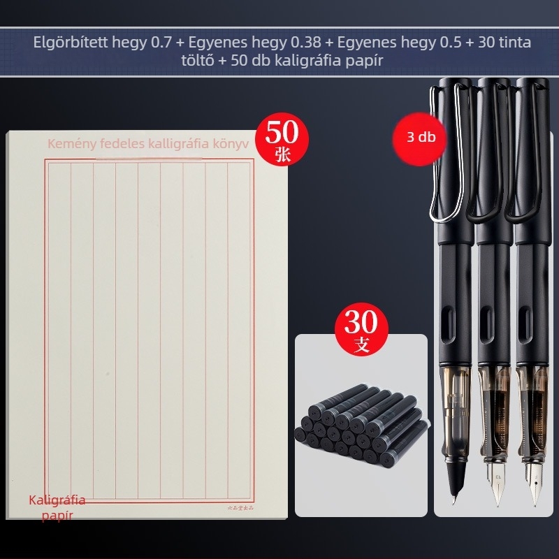Kaligráfia toll 0.7/0.5 tollhegyekkel, cserélhető tintatartály, forgó tinta felszívás, műanyag test, modell gb0049