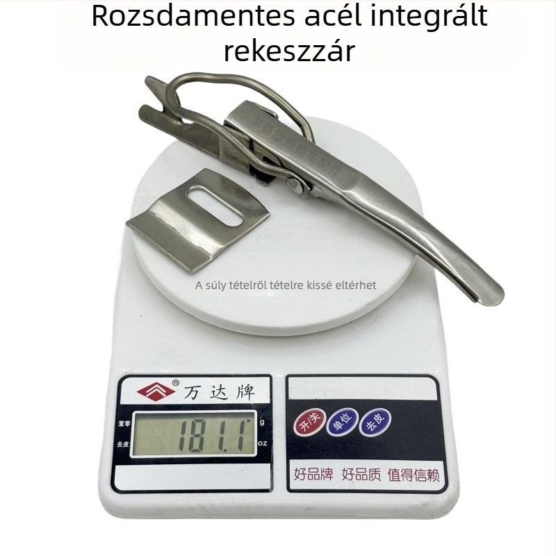 Rozsdamentes acél zárókapocs elektromos tricikli csomagtartó ajtózár