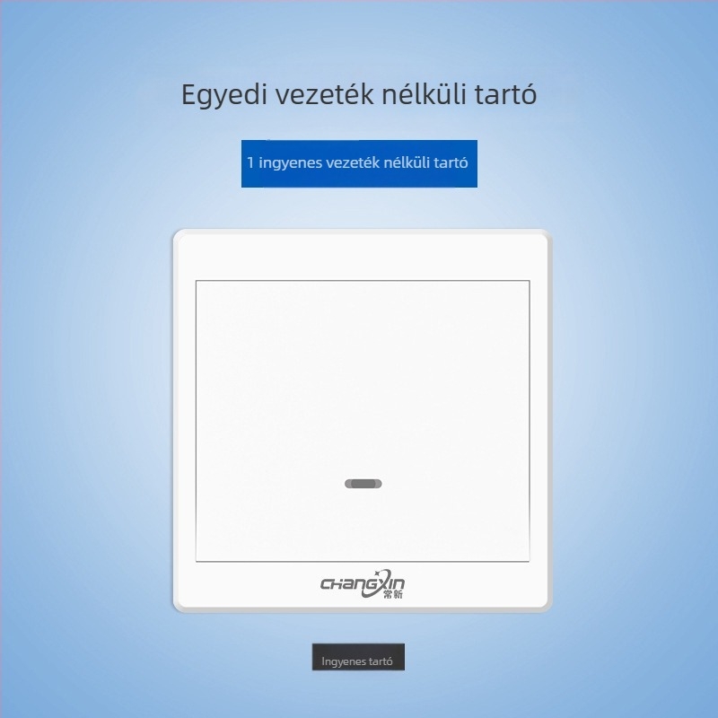 Vezeték nélküli távirányítós kapcsoló 220V-os háztartási világításhoz, típus: egycsatornás távirányítós kapcsoló, modell: Remote control switch