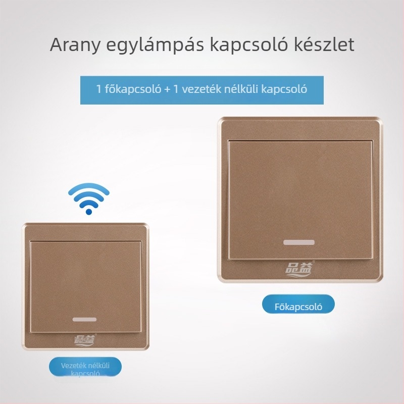 Vezeték nélküli távirányítós kapcsoló 220V-os háztartási világításhoz, típus: egycsatornás távirányítós kapcsoló, modell: Remote control switch