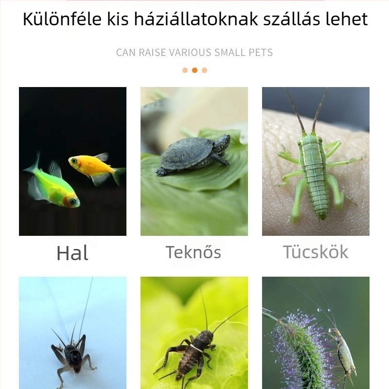 Asztali akváriumi mood lámpa kisállatok számára — Rovartenyésztő és etető doboz, Anyagok: műanyag, gyanta, akril; Súly: 205 g; Akváriumi felszerelés