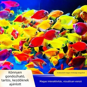 ABS akvárium szűrő – Akváriumi felszerelés