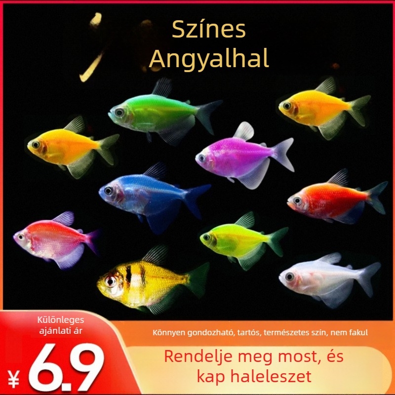 ABS akvárium szűrő – Akváriumi felszerelés