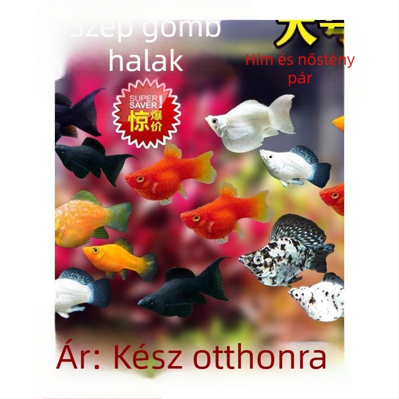 Jinpeng akvárium szűrő - Márka Jinpeng, Akvárium felszerelés, Anyag: Egyéb