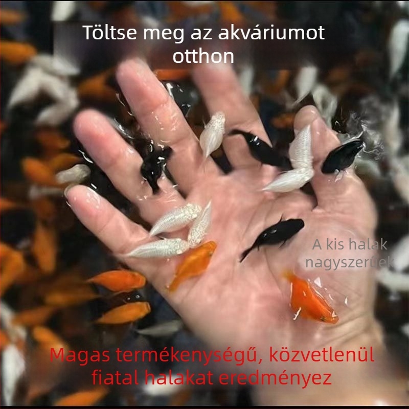 Jinpeng akvárium szűrő - Márka Jinpeng, Akvárium felszerelés, Anyag: Egyéb