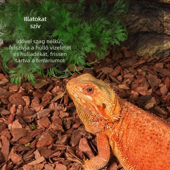Reptizoo hüllők számára kéreg matrac - granulált aljzat, nedvesítő és szagsemlegesítő, frissen tartja a terrárium levegőjét