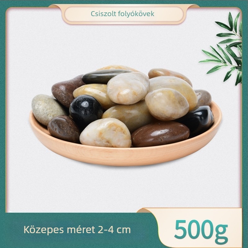 Akvarisztikai tájépítés dekoráció természetes kövekkel, Rain Flower kövekkel, kavicsokkal, szukkulensek és cserepes növények bemutatására