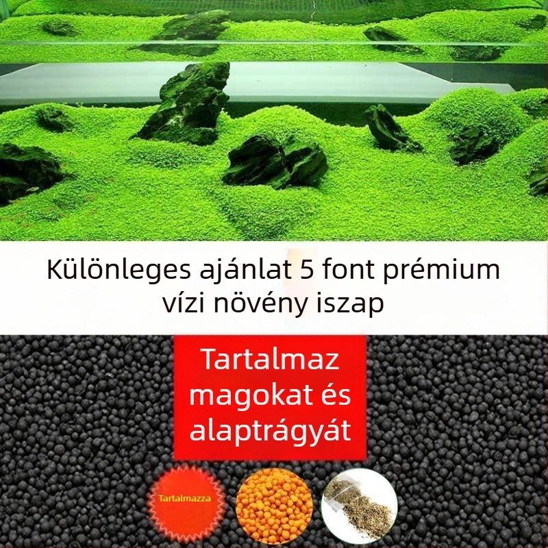 Akvarisztikai tájépítő készlet: kerámiahomok, fenékhomok, vízi növények magvai, alaptrágyázó, átlátszó víz