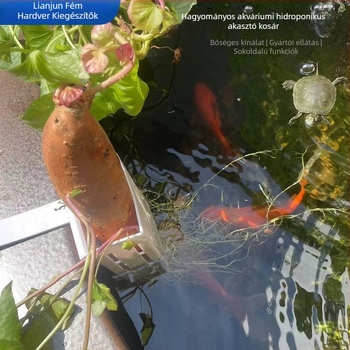 Műanyag hidropónikus függőkosár édesburgonyához — falra szerelhető akváriumi dekoráció és növények tároló állvány, többfunkciós, antik stílus