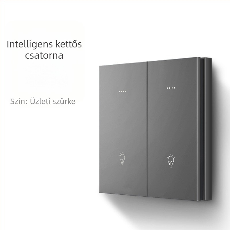 FRFOX okos kapcsoló Bluetooth Mesh 2.0-val, kettős vezérlés, 110-220V AC, 10A