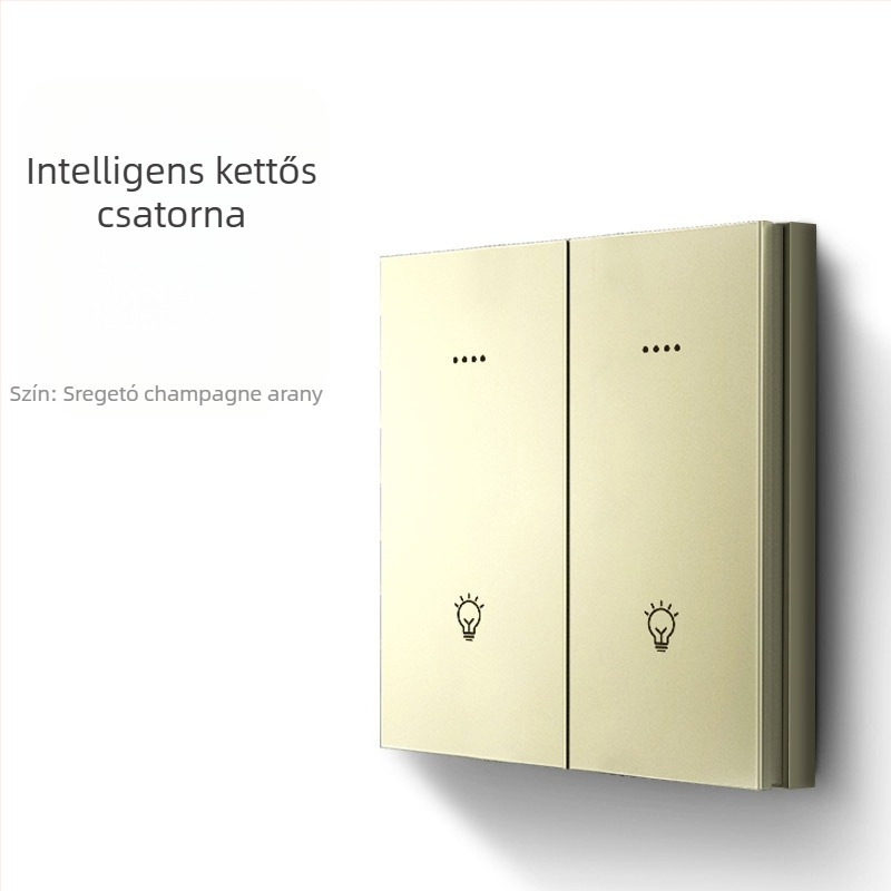 FRFOX okos kapcsoló Bluetooth Mesh 2.0-val, kettős vezérlés, 110-220V AC, 10A