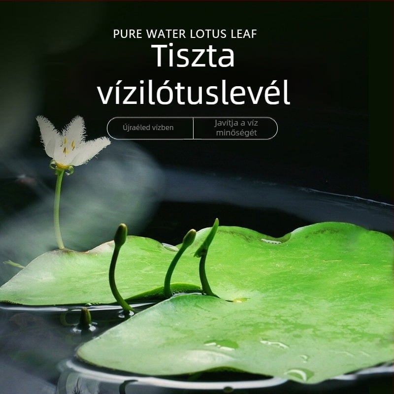 Akvarisztikus vízi növény: egylevelű lótusz, hidroponikus, beltéri, örökzöld; tisztítja a vizet és eltávolítja a formaldehidet; PET anyag, Senlan márka, súly 30