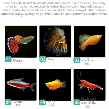 Guppy tenyésztéshez izolációs inkubátor akváriumhoz — szaporodási doboz, anyag: Other; márka: sw/Su Wan; termékkategória: Egyéb akvarisztikai kellékek; kategória: Akvárium-berendezés