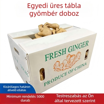 PP üreges paneles forgódoboz gyömbér és zöldségek számára – Magas szilárdság, Injection molding, Falvastagság 3 mm, Teherbírás 50 kg, Testreszabható