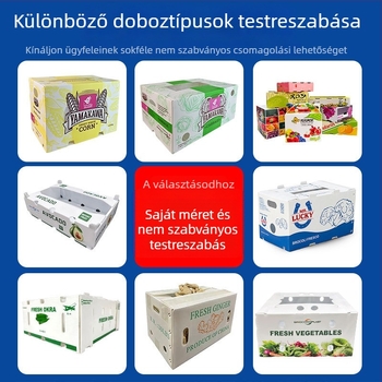 PP üreges paneles forgódoboz gyömbér és zöldségek számára – Magas szilárdság, Injection molding, Falvastagság 3 mm, Teherbírás 50 kg, Testreszabható