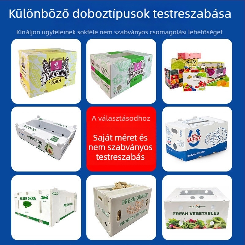 PP üreges paneles forgódoboz gyömbér és zöldségek számára – Magas szilárdság, Injection molding, Falvastagság 3 mm, Teherbírás 50 kg, Testreszabható