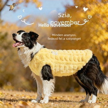 Kutyafleece kabát – korall fleece, Mikipad márka, téli és őszi szezonokra, hétköznapi stílus, háziállat ruházat