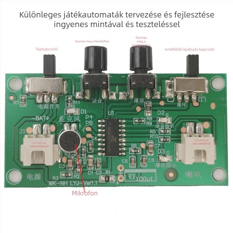 DIY gyermekjáték felvevő modul – hangváltoztatóval és digitális tervezéssel (Márka Webb Technology; Kapacitás 3000/nap)