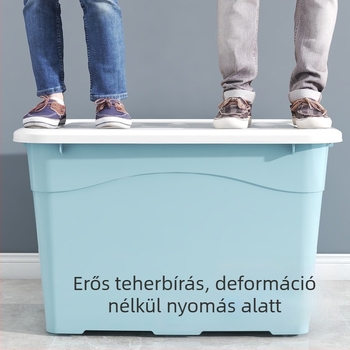 Ruhák és játékok tároló doboza fedéllel, nagy kapacitású, átlátszó műanyag tároló.