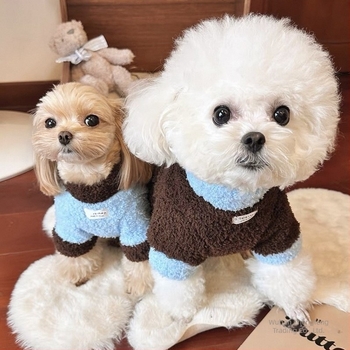 Kis méretű kutyák és macskák számára készült ruházat — Tedi, Bichon Frise, Pudli, Yorkshire-terrier, Pomériai törpe — őszi-téli kollekció