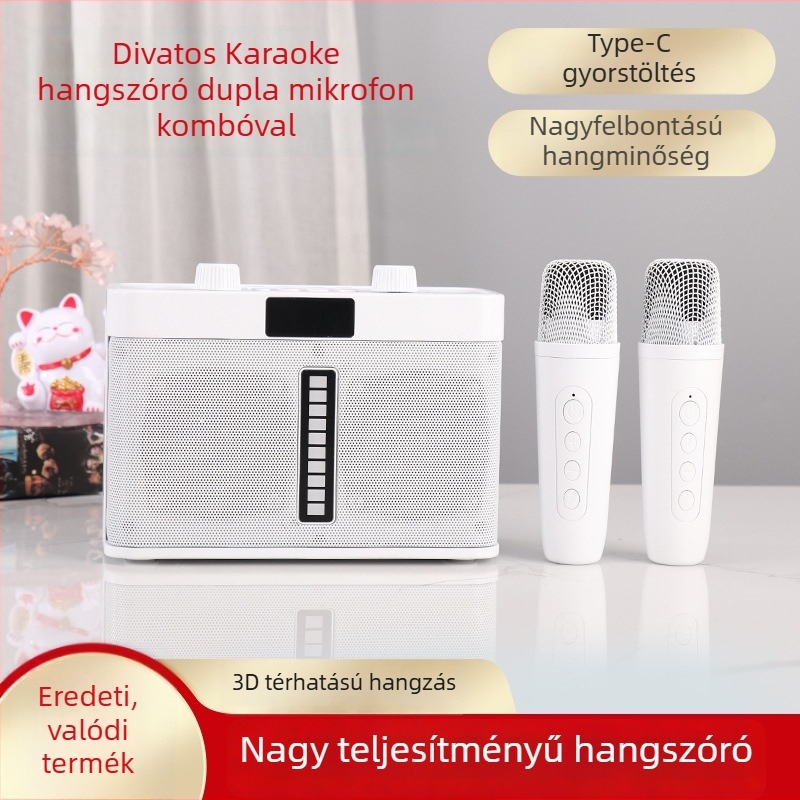 Kétmikrófonos Bluetooth karaoke hangfal, hordozható all-in-one kültéri eseményekhez és otthoni összejövetelekhez, modell WJ-A8265.3