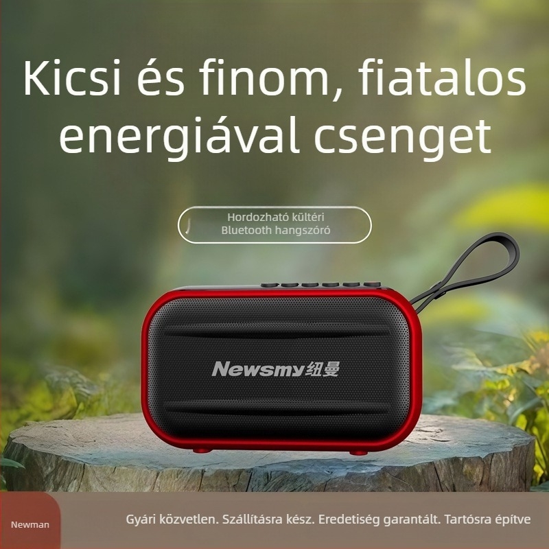 Newman L82 Vezeték nélküli Bluetooth hangszóró, két kártyahely, karaoke, kültéri hordozható basszus hangfal, számítógéphez és hangszerhez mikrofon csatlakoztatható