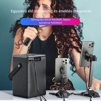Hordozható kültéri karaoke hangfal vezeték nélküli mikrofonnal, 40W kimenet, 40Hz-20kHz hangfrekvencia, beépített akkumulátor, 8 órás lejátszás, IPX9 vízálló